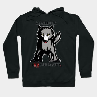 As a matter of fact Hoodie